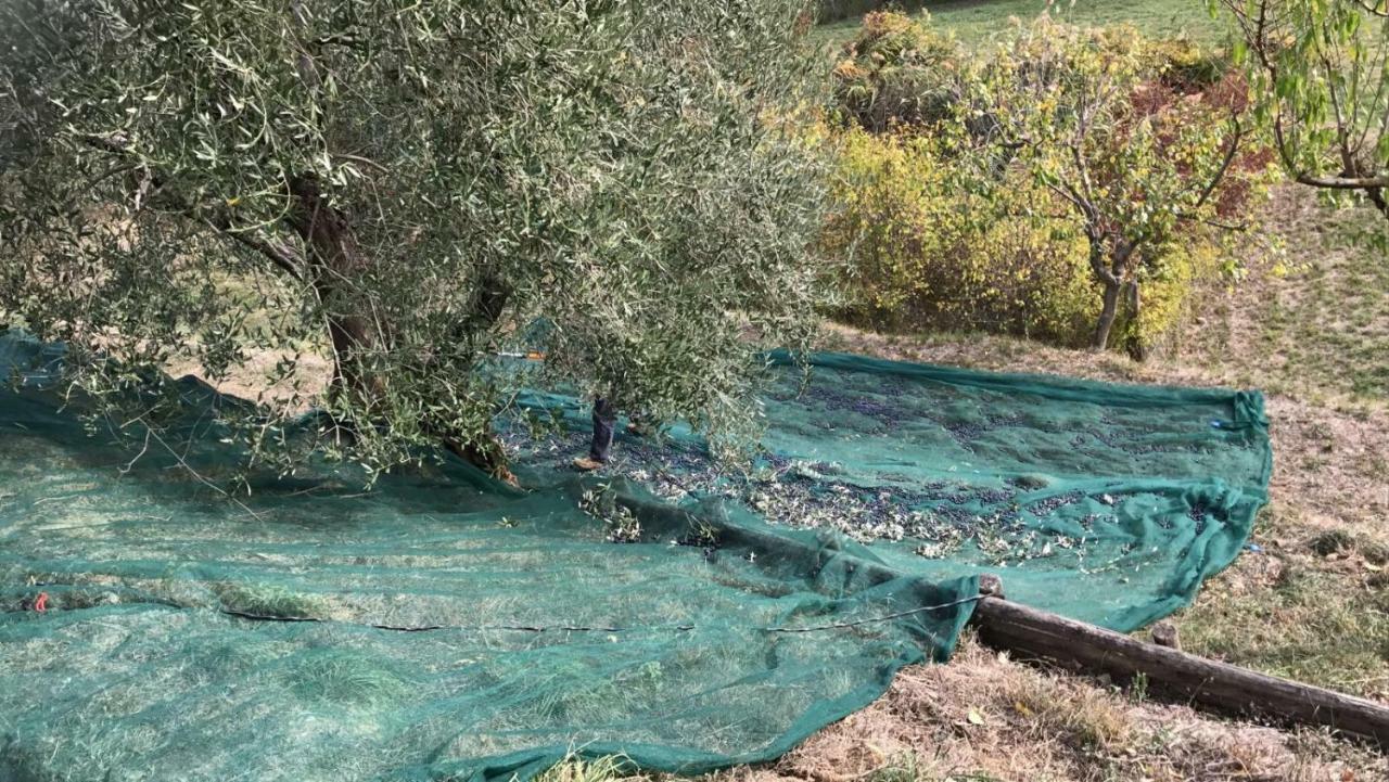 קיוזי Villa Porsenna מראה חיצוני תמונה