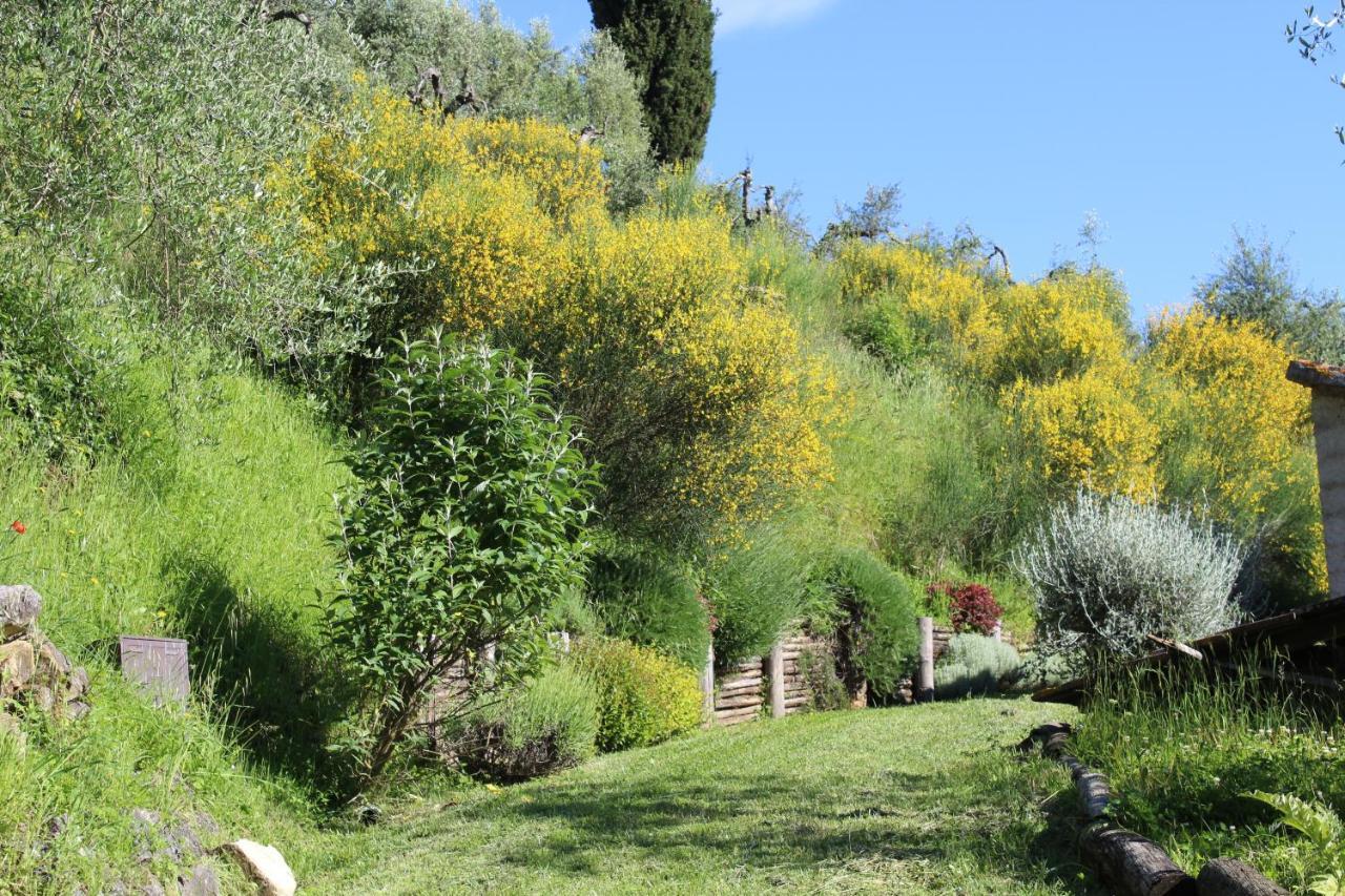 קיוזי Villa Porsenna מראה חיצוני תמונה