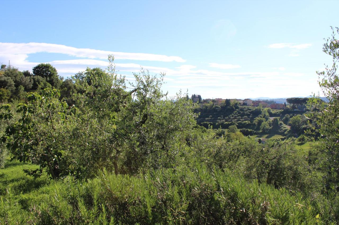 קיוזי Villa Porsenna מראה חיצוני תמונה